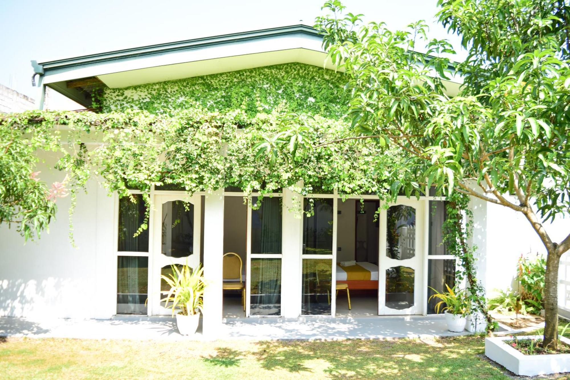 The Bamboo Tree Transit Hotel Katunayaka Exterior foto